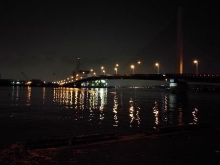 南港カモメ大橋のヘチ釣行 （キビレ30cm、ガシラ釣果）