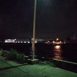 強風の南港フェリーヘチ釣り （悪条件下～小キビレ他小ガシラ釣果のみ）