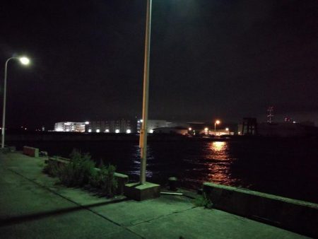 強風の南港フェリーヘチ釣り （悪条件下～小キビレ他小ガシラ釣果のみ）