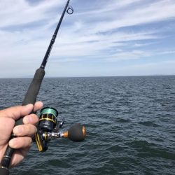 貝塚人工島でブリ狙いでしたが。。