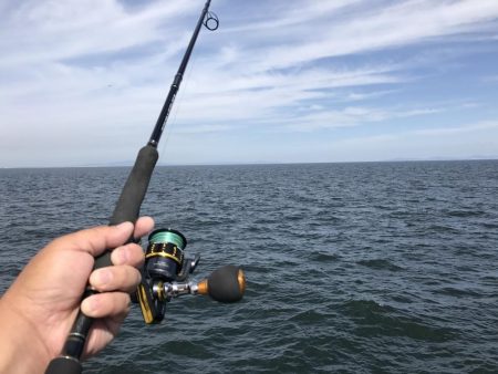 貝塚人工島でブリ狙いでしたが。。