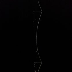 めばる＆しーばす