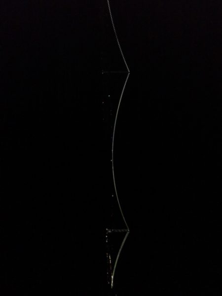 めばる＆しーばす