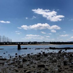 甲子園浜　デイゲーム　４本