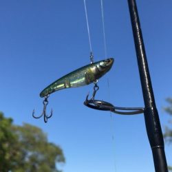 甲子園浜　サイズアップ　４本