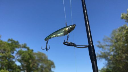 甲子園浜　サイズアップ　４本