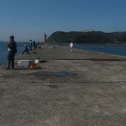 納竿直前にカワハギゲット!