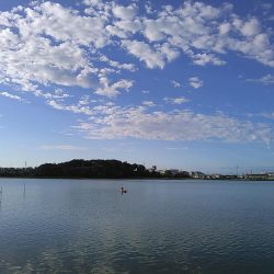 佐鳴湖 シーバス デイゲーム