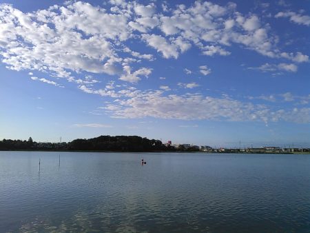 佐鳴湖 シーバス デイゲーム