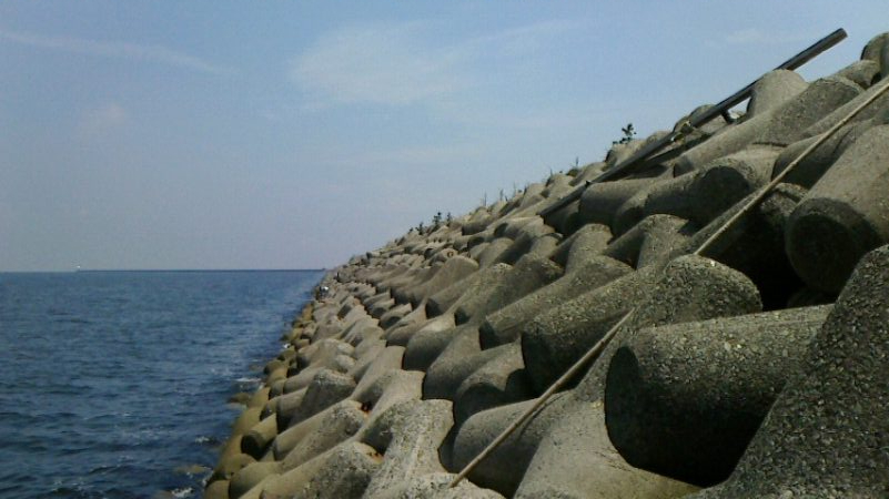 青物あきらめモード