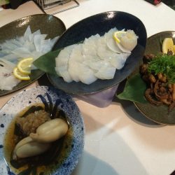 タコエギでイカ