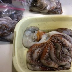 船タコ釣り　良型多し