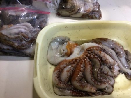 船タコ釣り　良型多し