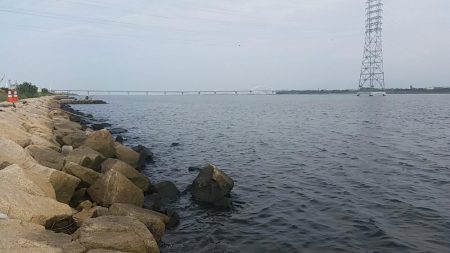 チニングでキビレGET！