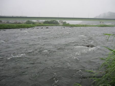 狩野川(狩野川漁業協同組合) 釣果