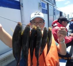 石川丸 釣果