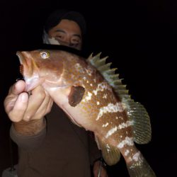 Magic(マジック) 釣果