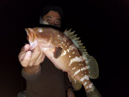 Magic(マジック) 釣果