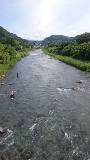 狩野川（狩野川漁業協同組合） 釣果