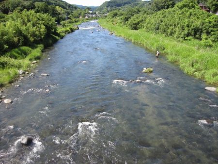 狩野川(狩野川漁業協同組合) 釣果