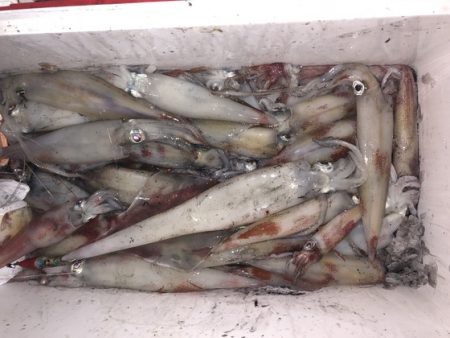 幸風（さちかぜ） 釣果