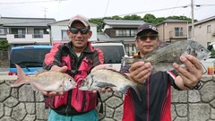 まこと渡船 釣果