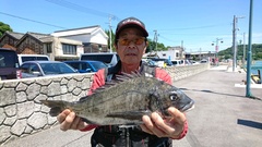 まこと渡船 釣果