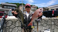 まこと渡船 釣果