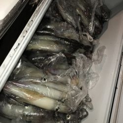 寿裕 （YOSHIHIRO） 釣果