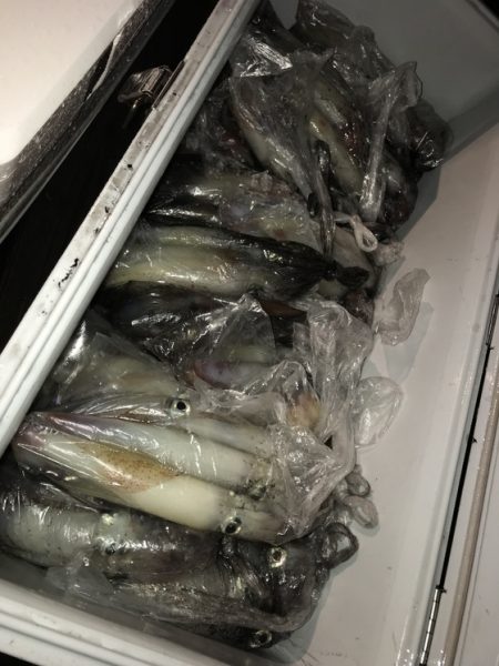 寿裕 （YOSHIHIRO） 釣果