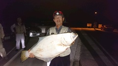 まこと渡船 釣果