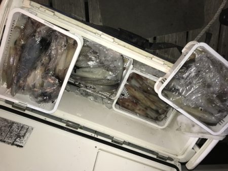 寿裕 （YOSHIHIRO） 釣果