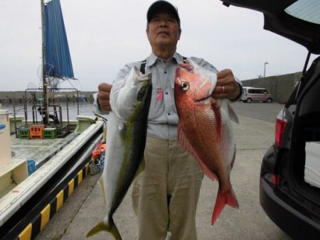 大進丸（新潟） 釣果