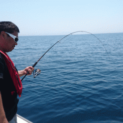 遊漁船ブルーウッズ 釣果