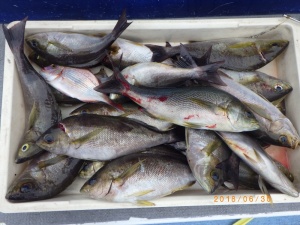 石川丸 釣果