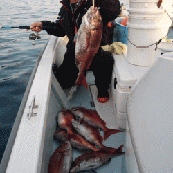 遊漁船ブルーウッズ 釣果