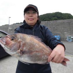 大進丸（新潟） 釣果