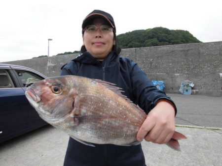 大進丸（新潟） 釣果