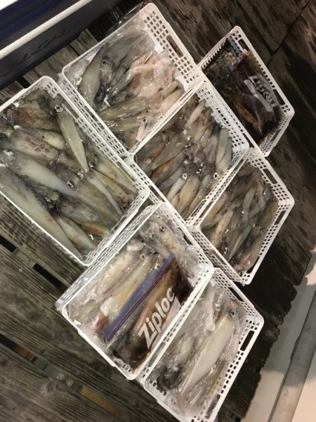 寿裕 （YOSHIHIRO） 釣果