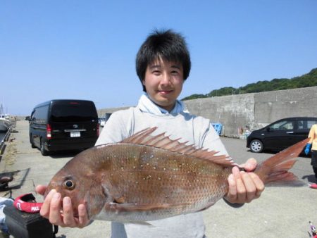 大進丸（新潟） 釣果