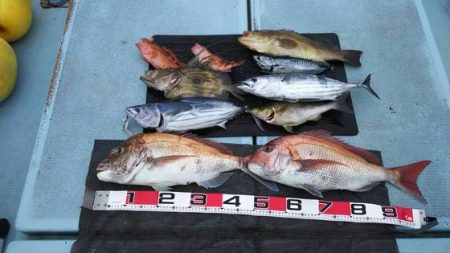 清和丸 釣果