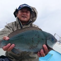 海晴丸 釣果