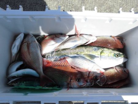 大進丸(新潟) 釣果