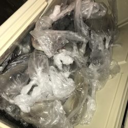 寿裕 （YOSHIHIRO） 釣果