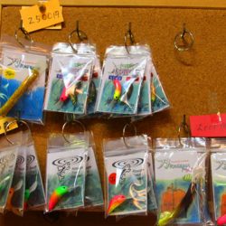 小菅トラウトガーデン 釣果