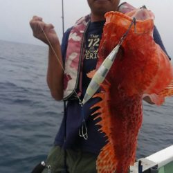 遊漁船 新鋭丸 釣果