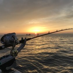 寿裕 （YOSHIHIRO） 釣果