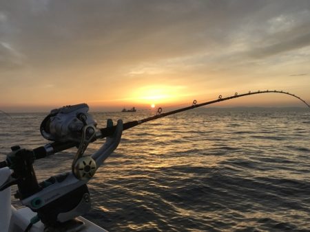 寿裕 （YOSHIHIRO） 釣果