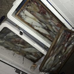 寿裕 （YOSHIHIRO） 釣果