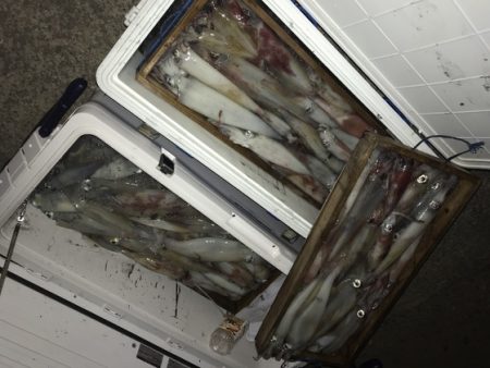 寿裕 （YOSHIHIRO） 釣果